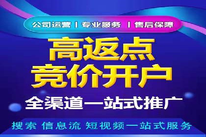 竞价推广公司经典案例：打造行业领先的广告投放效果